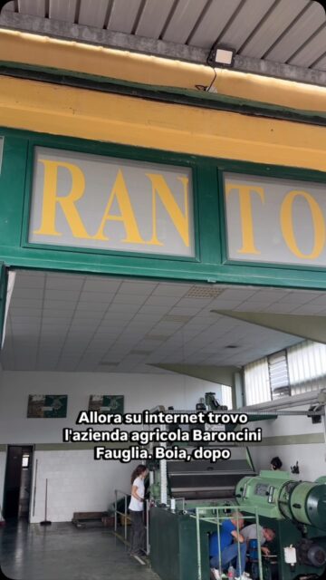 Quest’anno ho fatto l’olio.